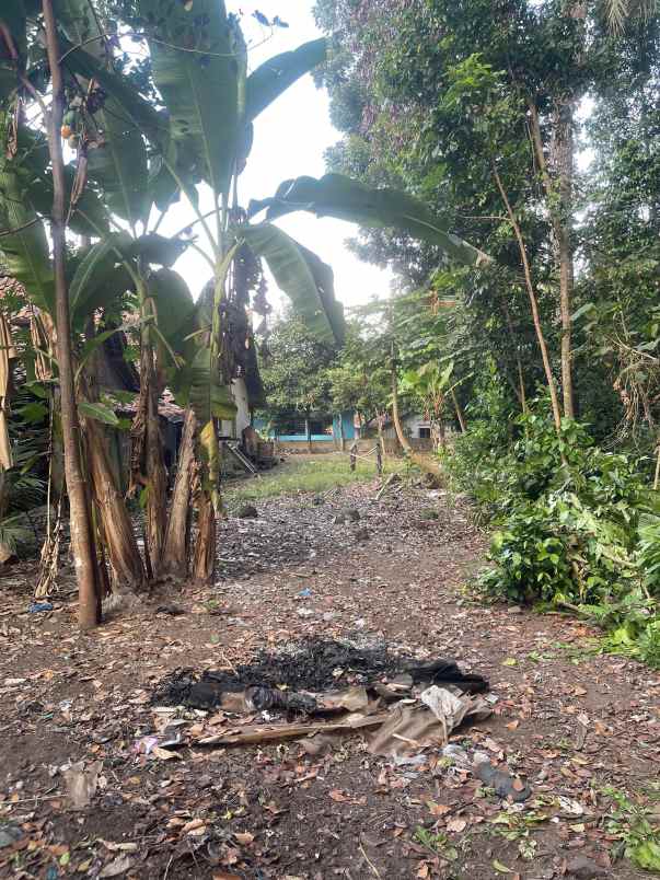 dijual tanah di kemloko margorejo tempel sleman