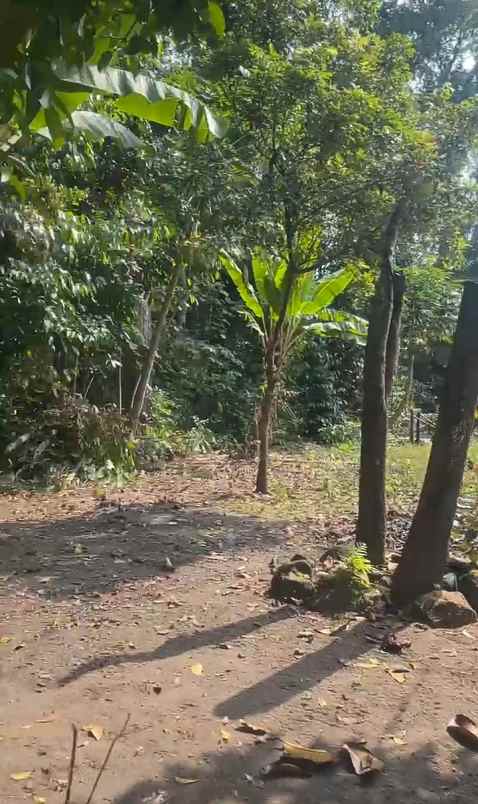 dijual tanah di kemloko margorejo tempel sleman