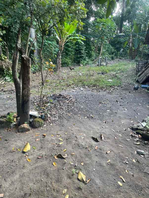 dijual tanah di kemloko margorejo tempel sleman