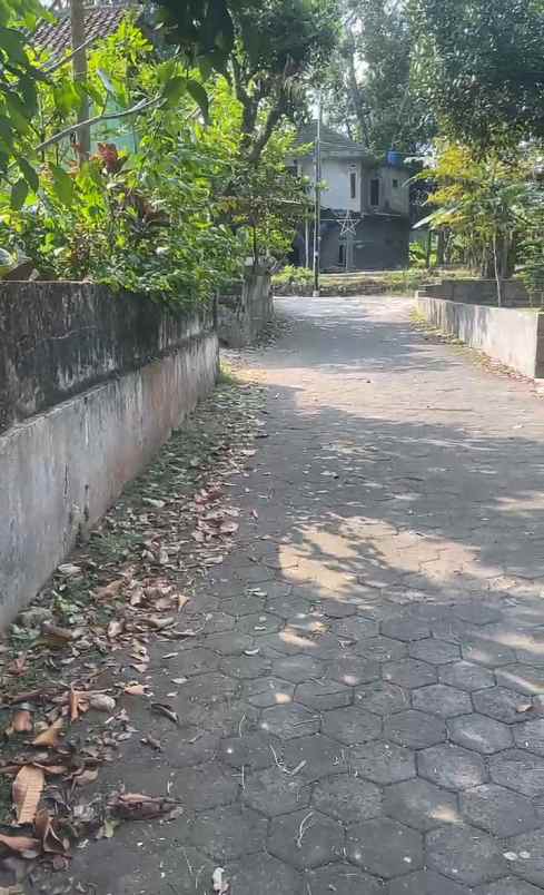 dijual tanah di kemloko margorejo tempel sleman