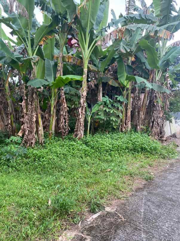 dijual tanah di kepitu kec trimulyo kab sleman