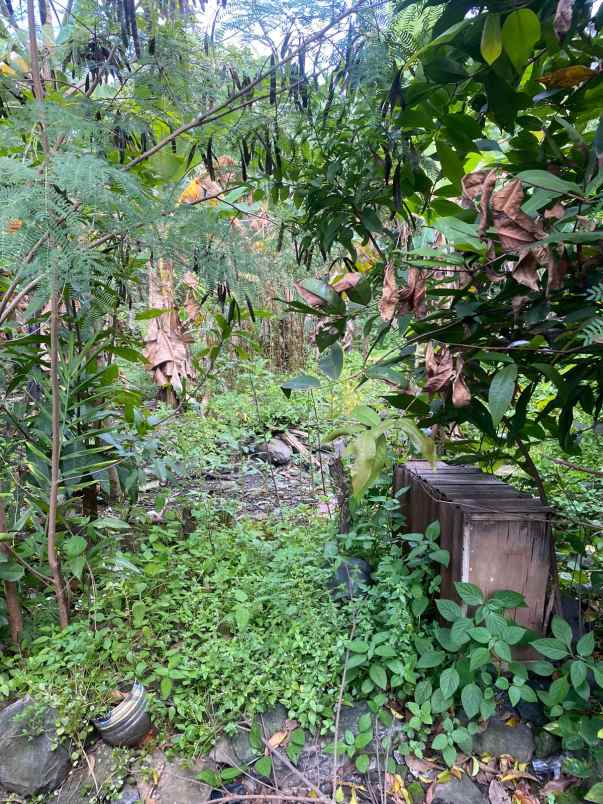 dijual tanah di purwomukti pedurungan semarang