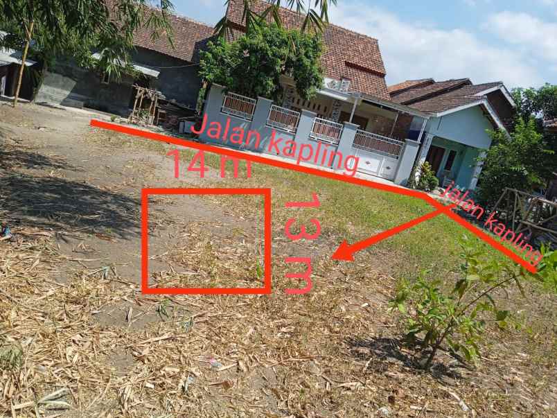 dijual tanah dijual tanah di desa lurah