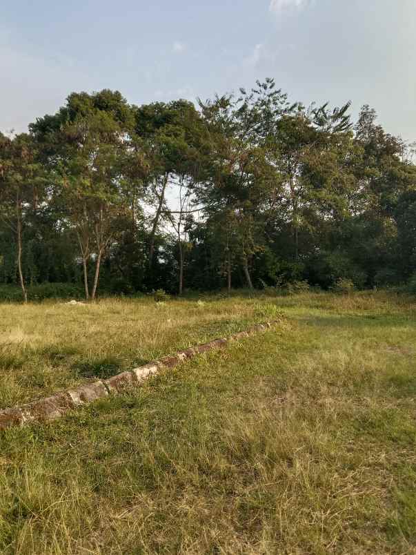 dijual tanah gambung