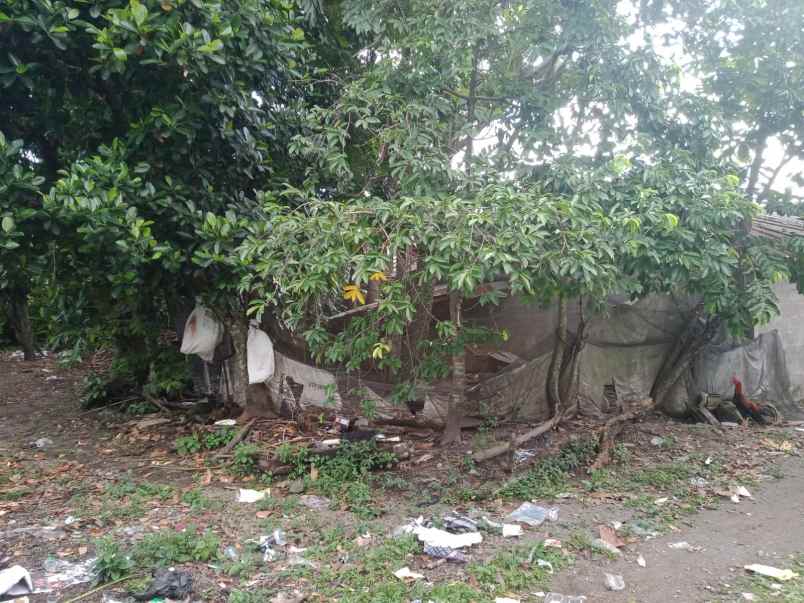 dijual tanah jakal km 10 timur pasar