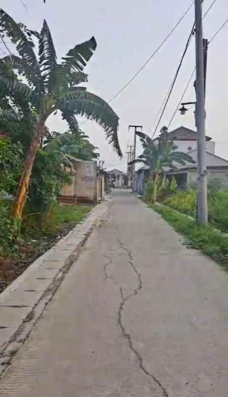 dijual tanah jalan desa srijaya