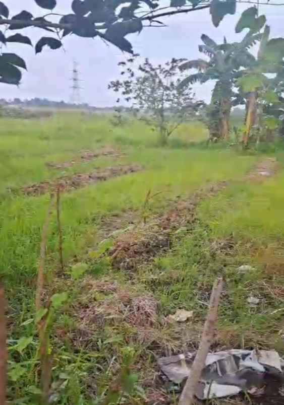 dijual tanah jalan desa srijaya