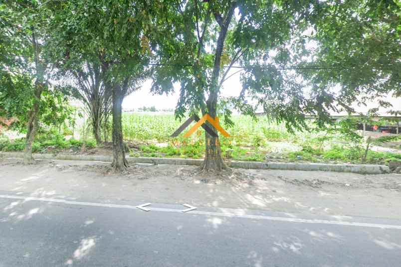 dijual tanah jalan jamin ginting dekat bpk tesalonika