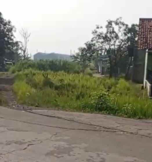 dijual tanah jalan penegak raya
