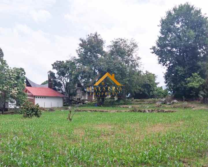dijual tanah jalan pulau samosir ambarita
