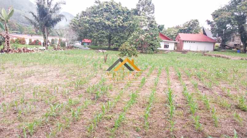 dijual tanah jalan pulau samosir ambarita