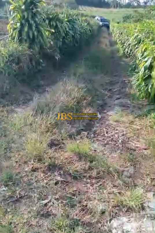 dijual tanah jalan sinaman kec