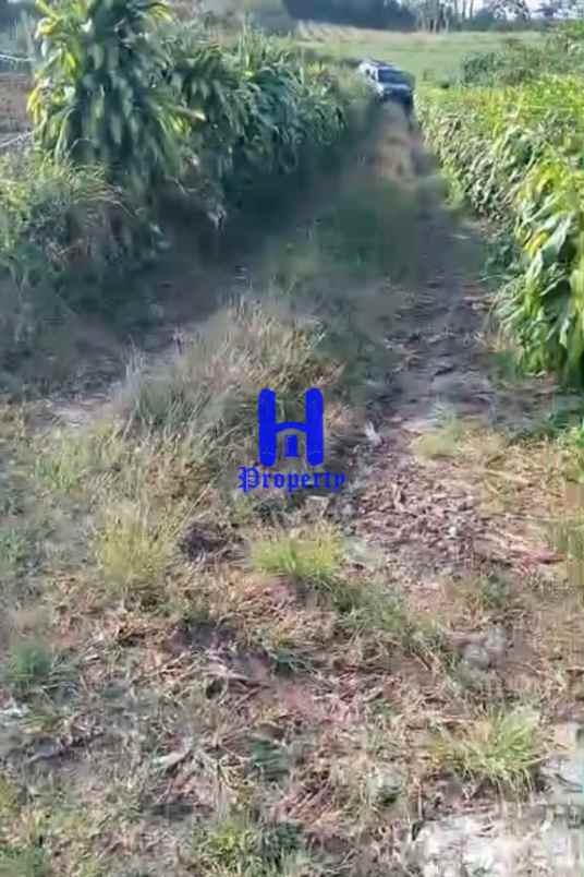 dijual tanah jalan sinaman kec