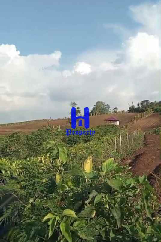 dijual tanah jalan sinaman kec