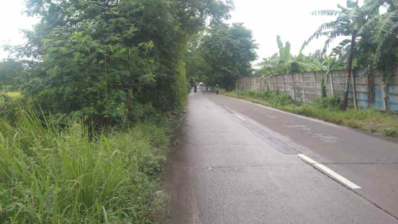 dijual tanah jalan syeh quro