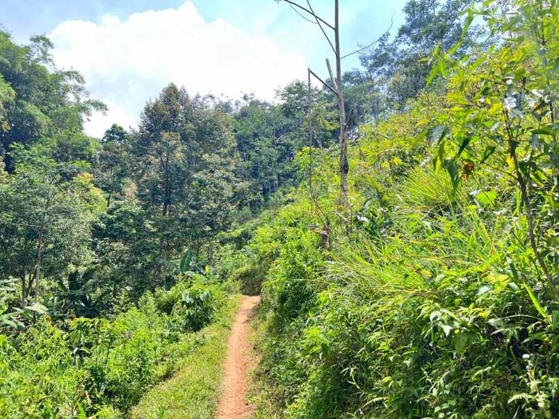 dijual tanah jenawi karanganyar solo