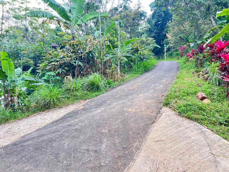 dijual tanah jenawi karanganyar solo