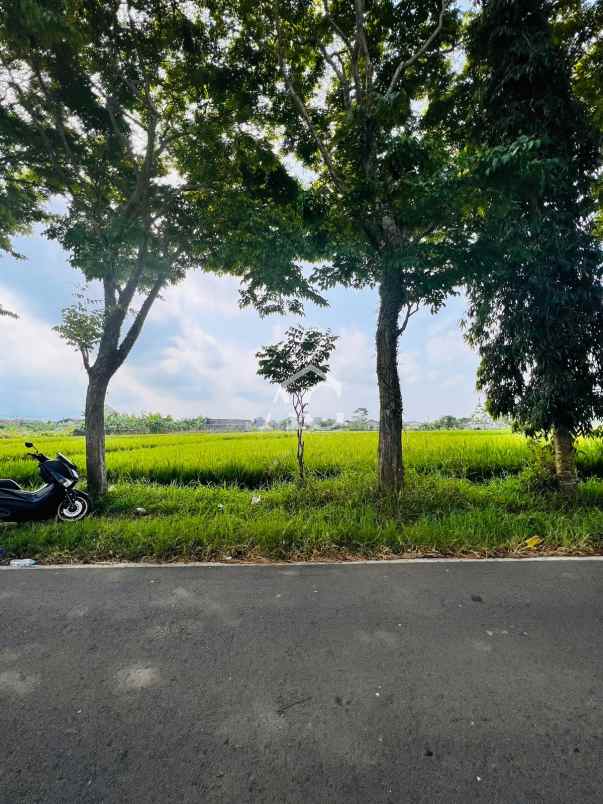 dijual tanah jl golf tasikmadu