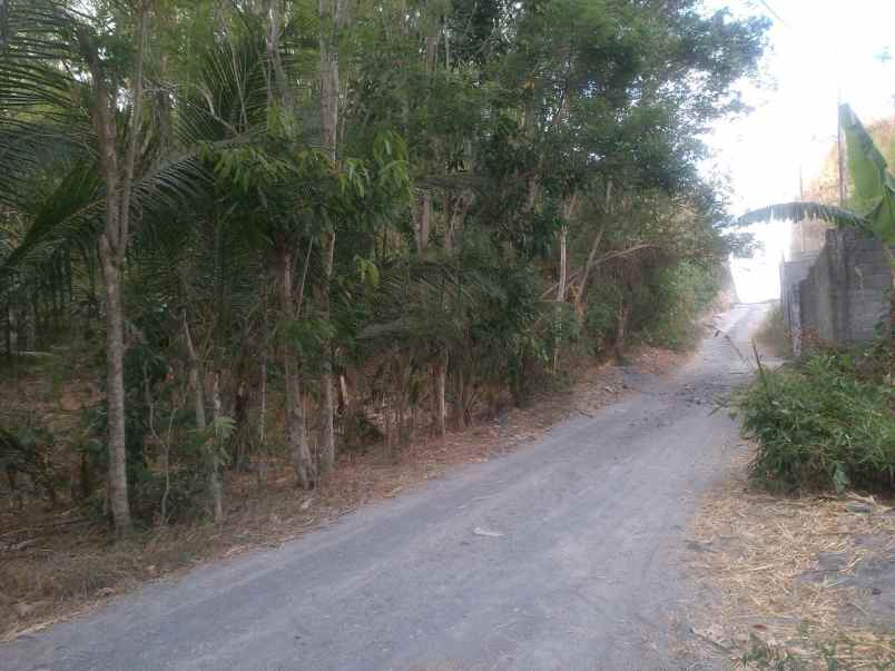 dijual tanah jl lengkong wuaya