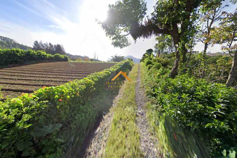 dijual tanah jl mimpin tua dekat villa