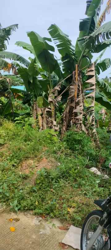 dijual tanah jl sepinggan baru rt 103