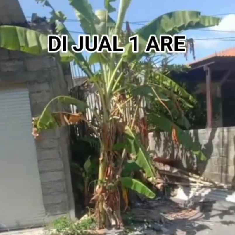 dijual tanah jl tumbak bayuh