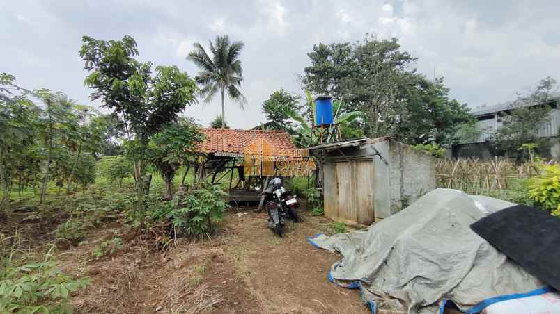 dijual tanah jl wangun jaya kelurahan