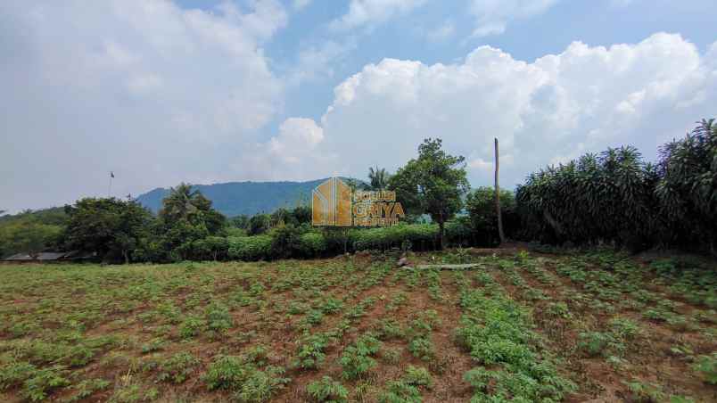 dijual tanah jl wangun jaya kelurahan