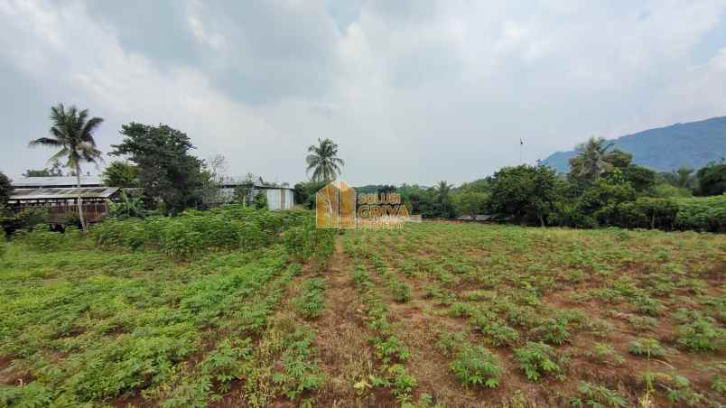 dijual tanah jl wangun jaya kelurahan