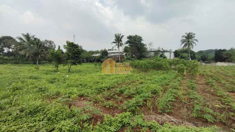 dijual tanah jl wangun jaya kelurahan