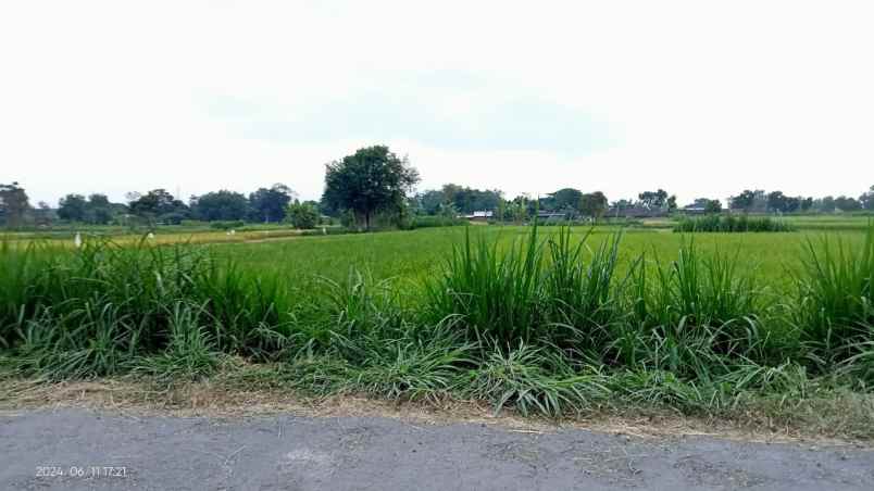 dijual tanah kabupaten sleman yogyakarta