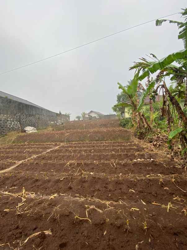 dijual tanah kabupaten sukabumi