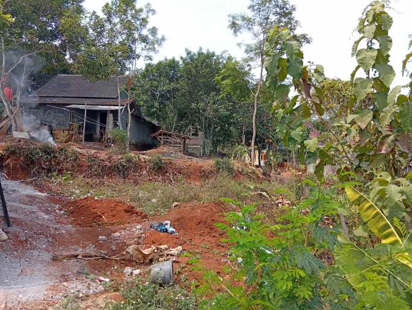 dijual tanah kalisegoro