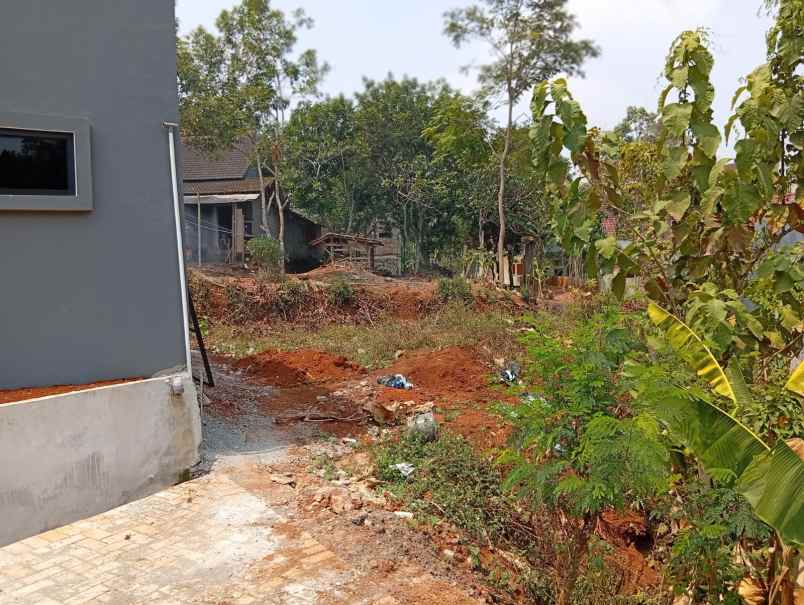 dijual tanah kalisegoro