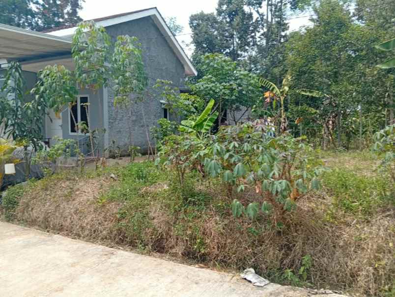 dijual tanah kandri