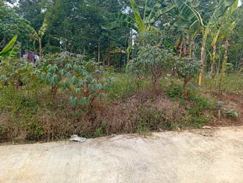 dijual tanah kandri