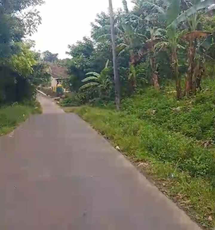 dijual tanah kebun strategis pinggir jalan