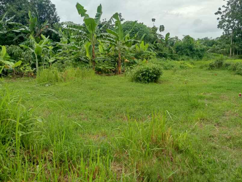 dijual tanah kedungsukun