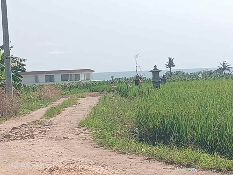 dijual tanah kelating tabanan bali