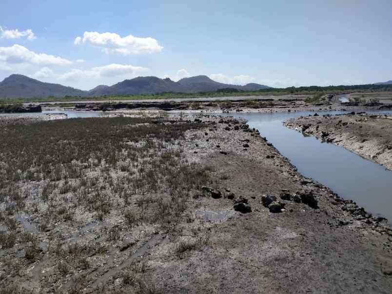 dijual tanah labuhan kuris lape sumbawa