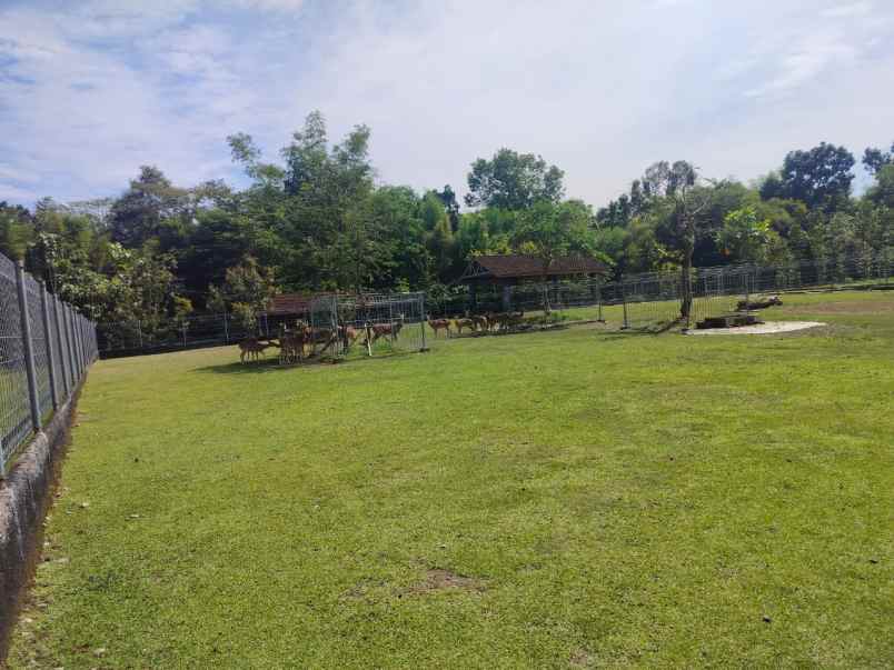 dijual tanah luas 7119 m2 dekat stadion maguwoharjo