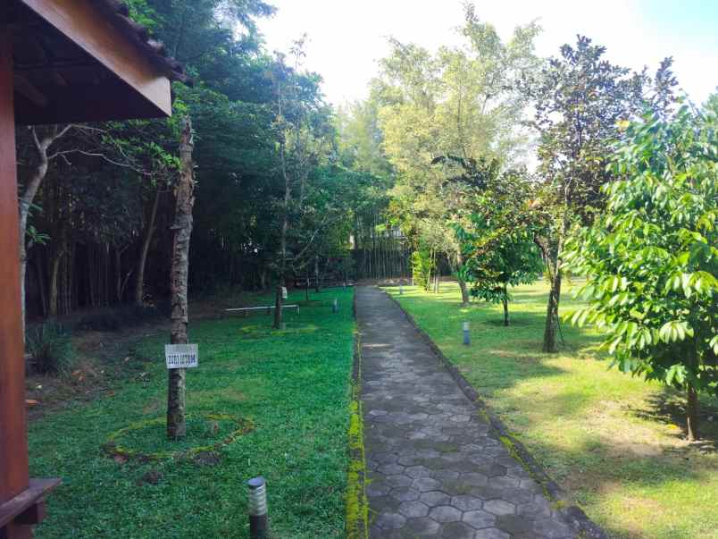 dijual tanah luas 7119 m2 dekat stadion maguwoharjo