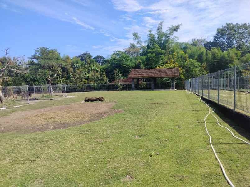 dijual tanah luas 7119 m2 dekat stadion maguwoharjo