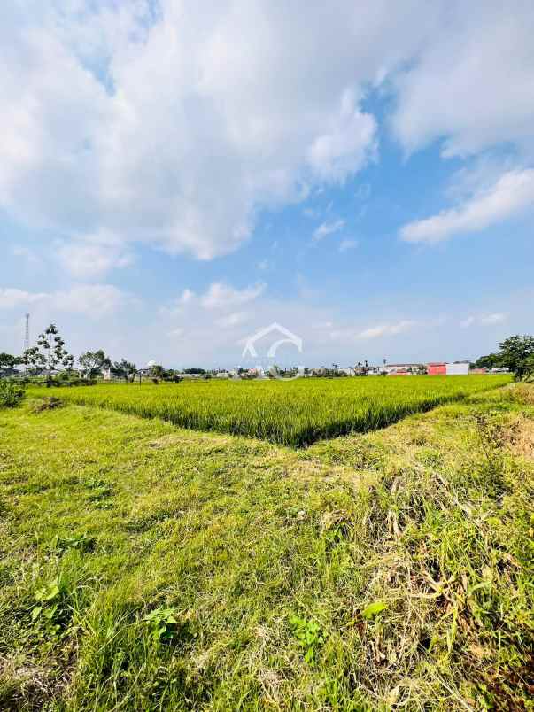 dijual tanah luas di tasikmadu malang