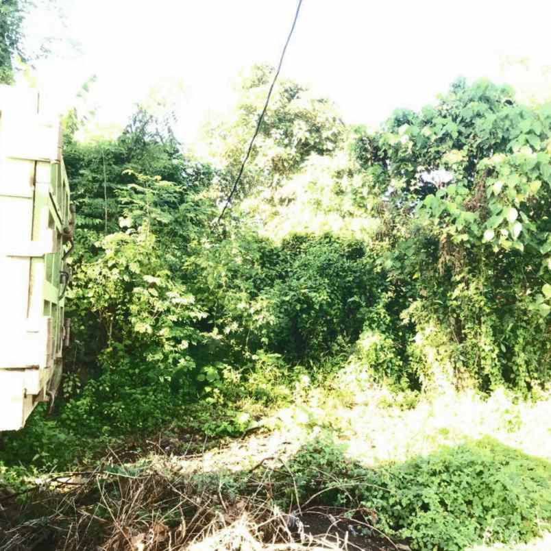 dijual tanah pemogan