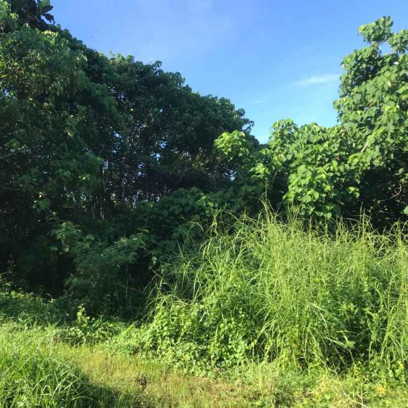 dijual tanah pemogan