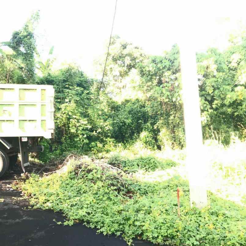 dijual tanah pemogan