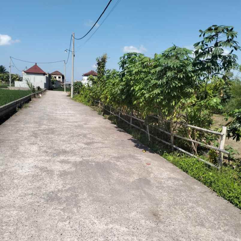 dijual tanah perum tridatu residence