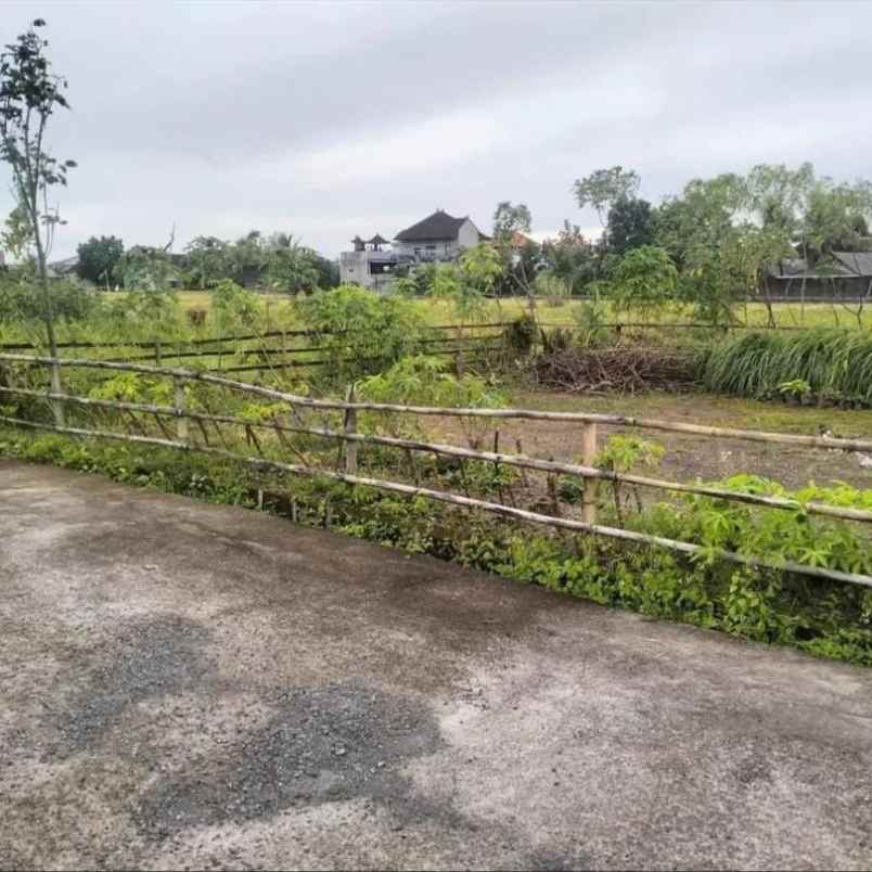 dijual tanah perum tridatu residence