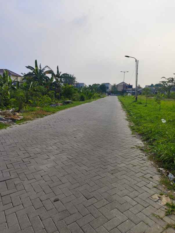 dijual tanah pinang